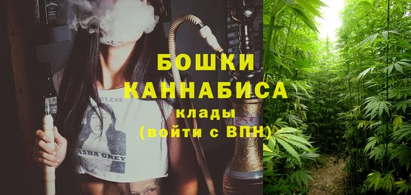 хмурый Касимов