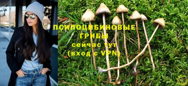 крисы Каменка