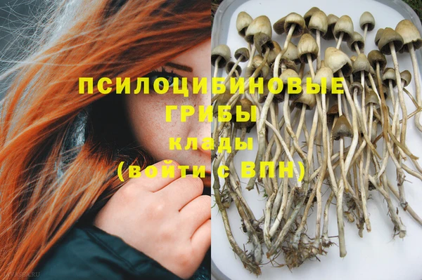 МДМА Богданович