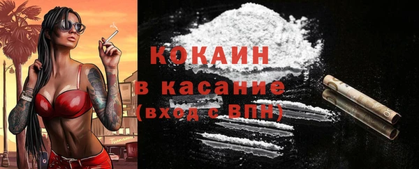 соль ск Богородицк