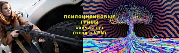 соль ск Богородицк