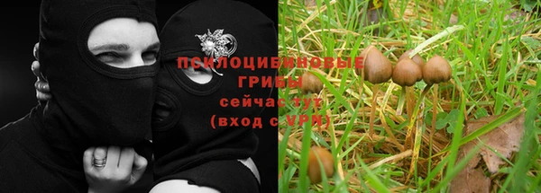 МДМА Богданович