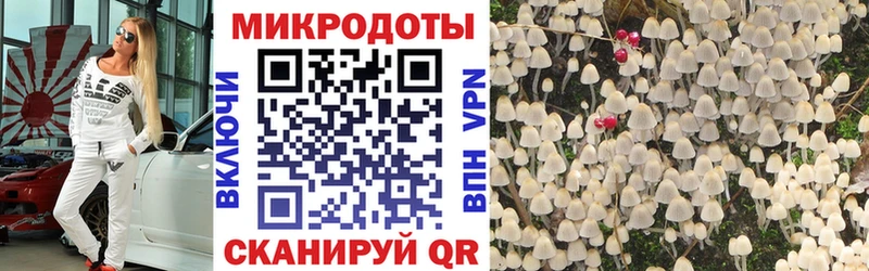 Галлюциногенные грибы MAGIC MUSHROOMS  сайты даркнета наркотические препараты  Называевск 